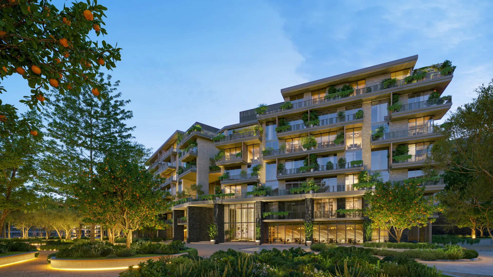 Arancia Yards 6