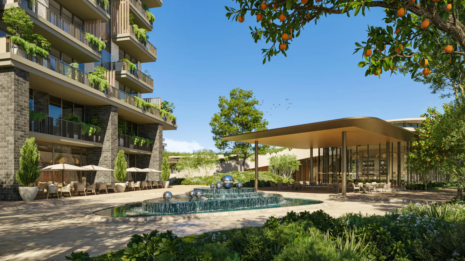 Arancia Yards 10